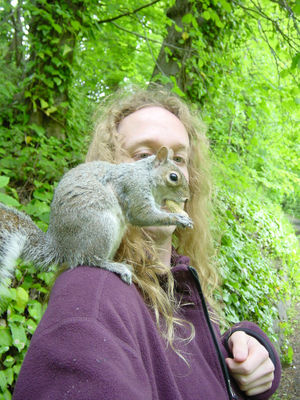 Picture of squirrel on my shoulder, eating a nut.